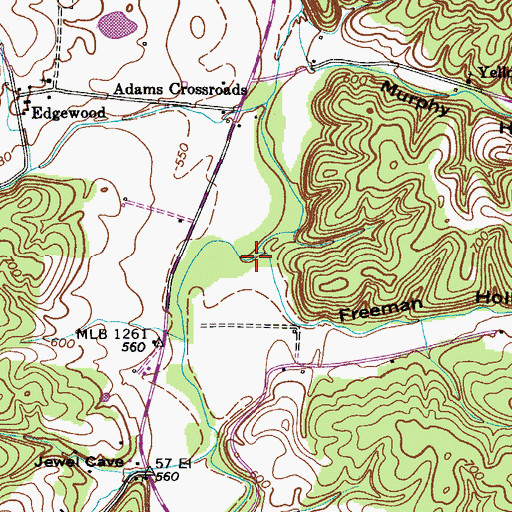 Topographic Map of Freeman Branch, TN