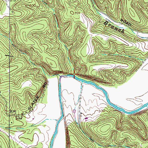 Topographic Map of Lower Forge Hollow, TN