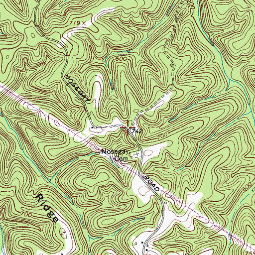 Topographic Map of Nosegay (historical), TN