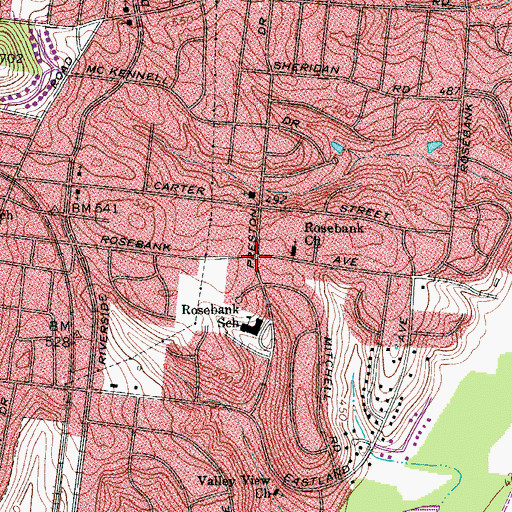 Topographic Map of Rosebank, TN