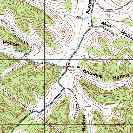 Topographic Map of Raines Hollow Branch, TN
