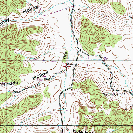 Topographic Map of Whiteside Branch, TN