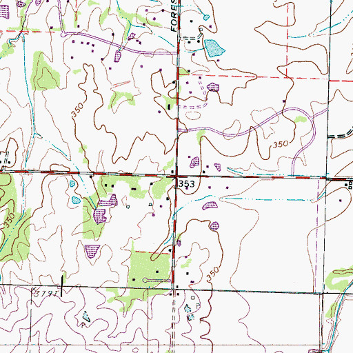 Topographic Map of Irene (historical), TN