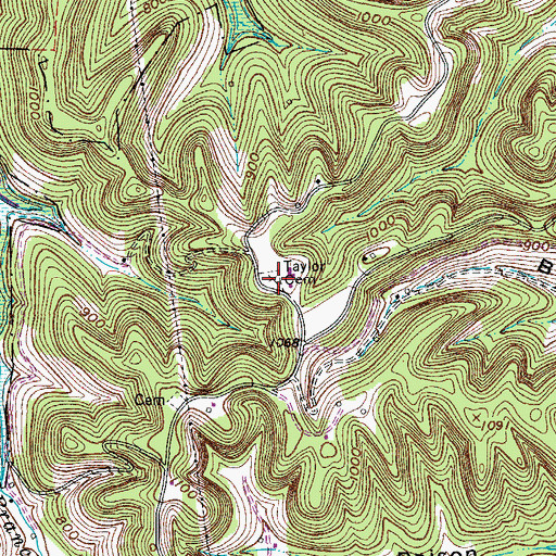 Topographic Map of Taylor Cemetery, TN