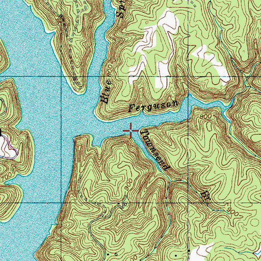 Topographic Map of Townsend Branch, TN
