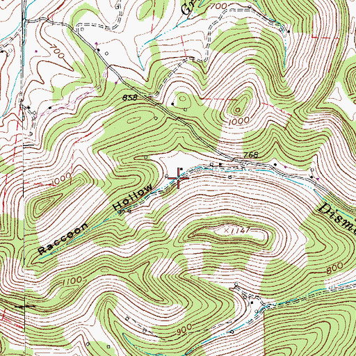 Topographic Map of Raccoon Hollow, TN