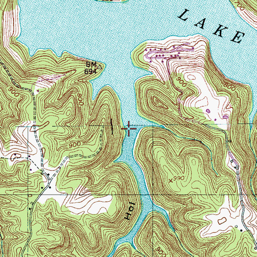 Topographic Map of Big Hollow, TN