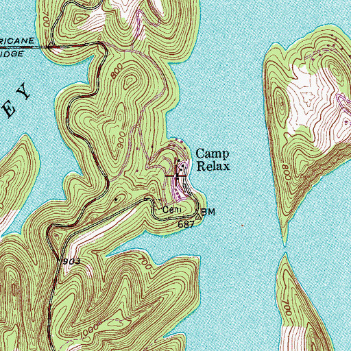 Topographic Map of Camp Relax, TN