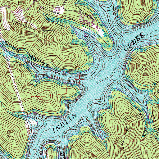 Topographic Map of Cobb Hollow, TN