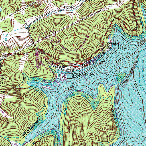 Topographic Map of Cove Hollow Dock, TN
