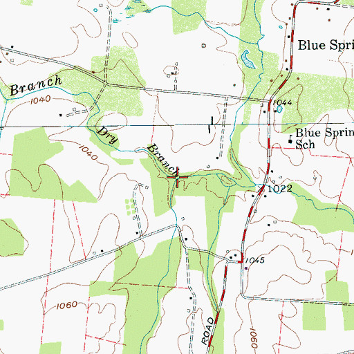 Topographic Map of Dry Branch, TN