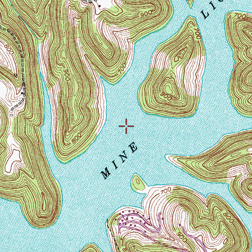 Topographic Map of Dry Fork, TN