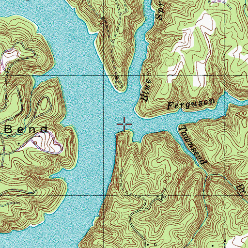 Topographic Map of Ferguson Creek, TN