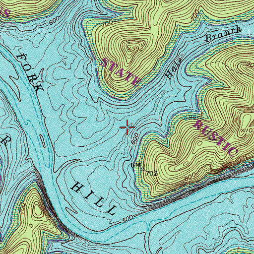 Topographic Map of Hale Branch, TN