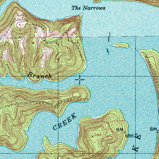 Topographic Map of Long Branch, TN