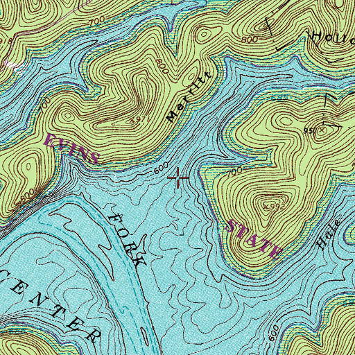 Topographic Map of Merritt Hollow, TN