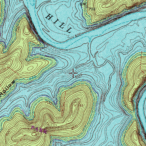 Topographic Map of Raccoon Hollow, TN