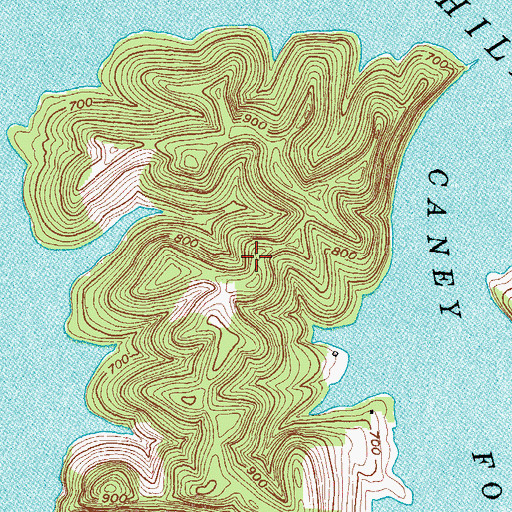 Topographic Map of Davies Island, TN