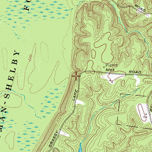 Topographic Map of Chickasaw Bluff Number Three, TN
