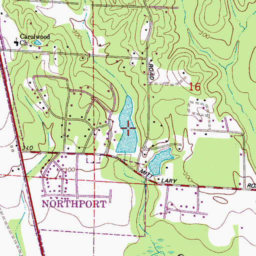 Topographic Map of Carolwood Lake, AL