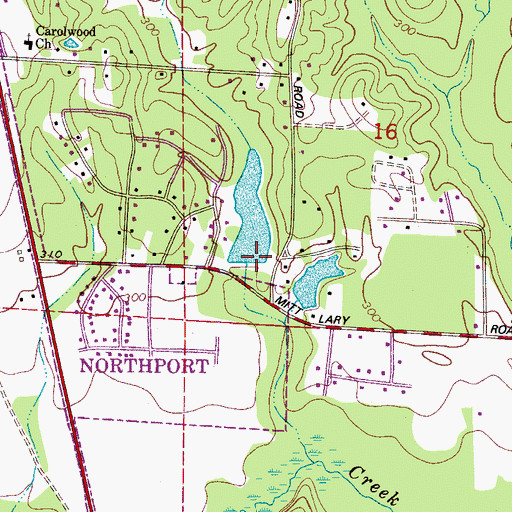 Topographic Map of Carolwood Lake Dam, AL