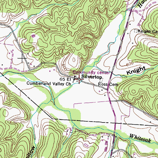 Topographic Map of Silvertop, TN
