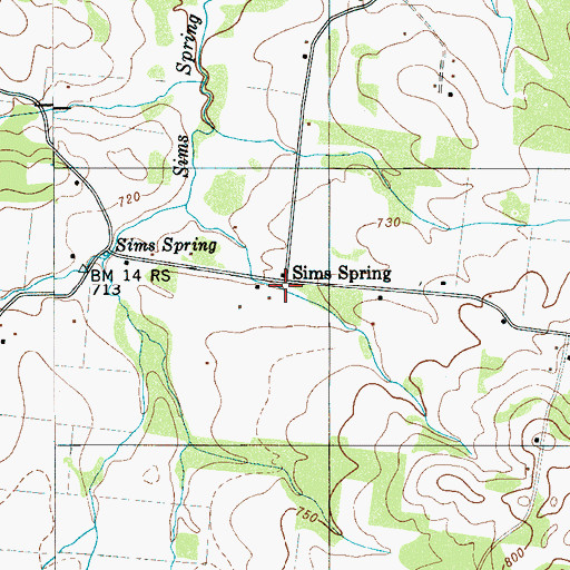 Topographic Map of Sims Spring, TN