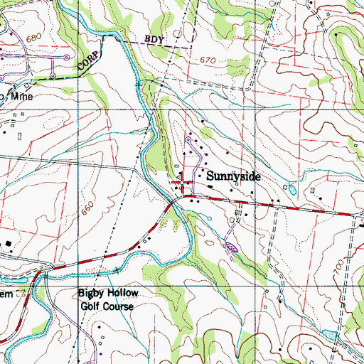 Topographic Map of Sunnyside, TN