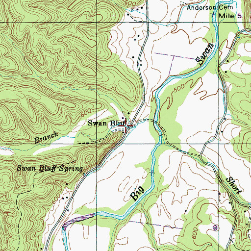 Topographic Map of Swan Bluff, TN