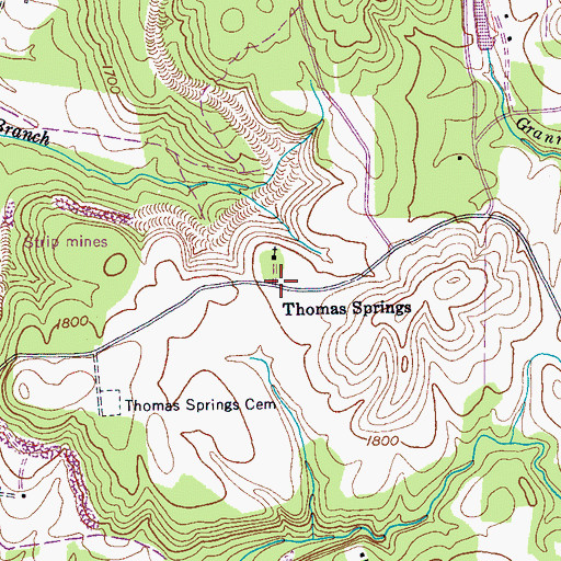 Topographic Map of Thomas Springs, TN