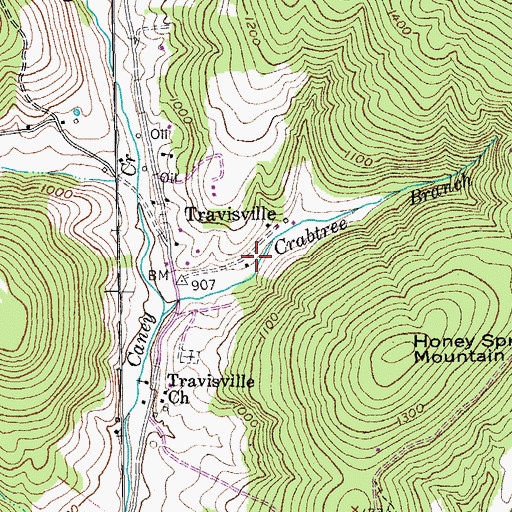 Topographic Map of Travisville, TN
