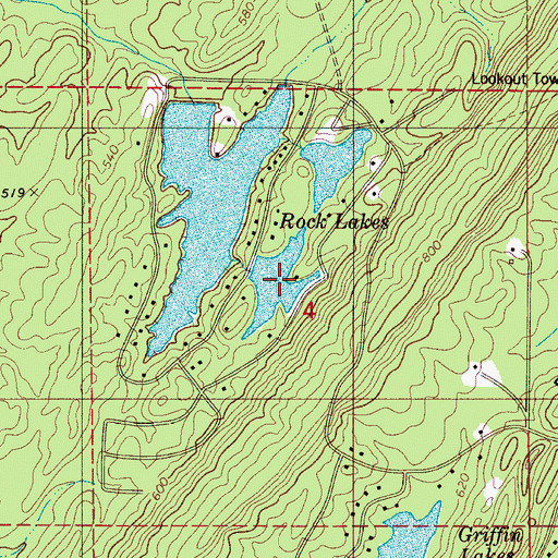 Topographic Map of Ellis Lake, AL