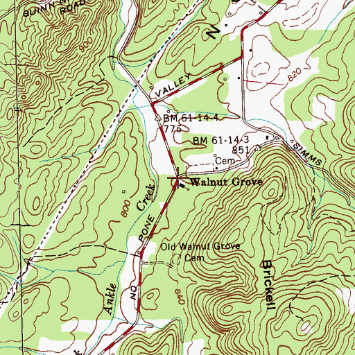 Topographic Map of Walnut Grove, TN