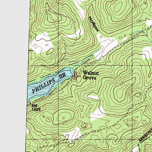 Topographic Map of Walnut Grove, TN