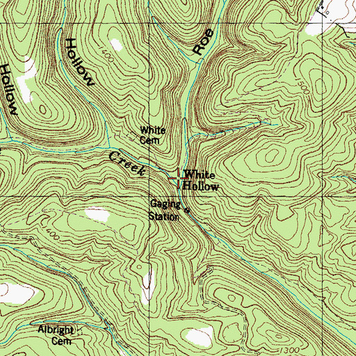 Topographic Map of White Hollow, TN