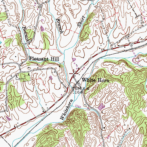 Topographic Map of White Horn, TN