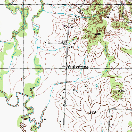 Topographic Map of Wolverine, TN
