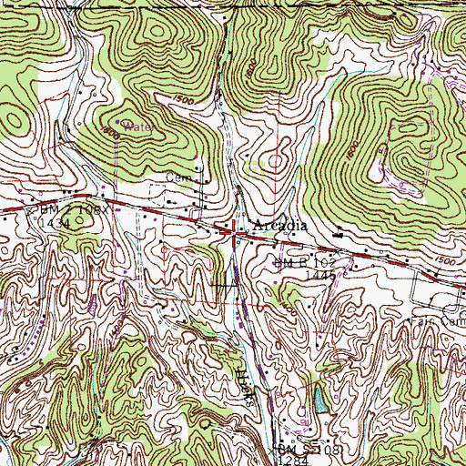 Topographic Map of Arcadia, TN