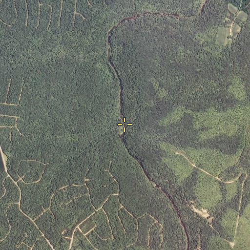 Aerial/Satellite Image of Barnes Ford, TN