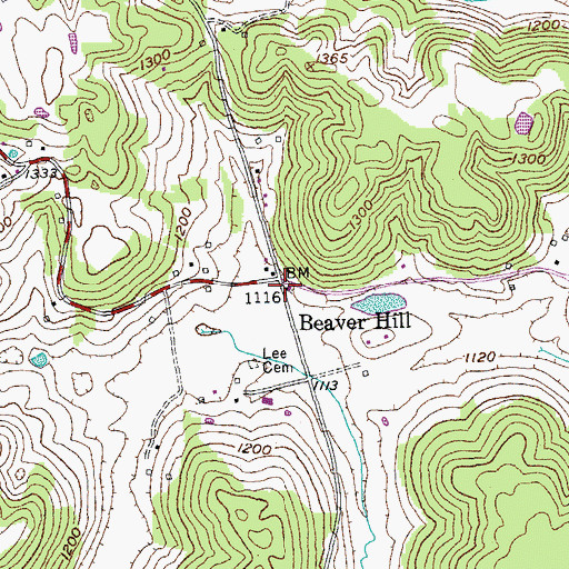 Topographic Map of Beaver Hill, TN