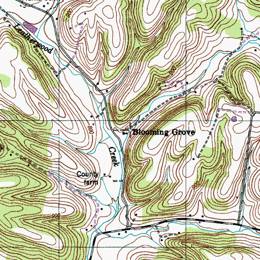 Topographic Map of Blooming Grove, TN