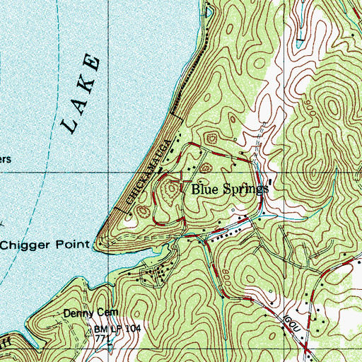 Topographic Map of Blue Springs, TN