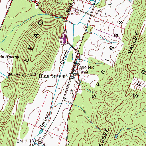 Topographic Map of Blue Springs, TN