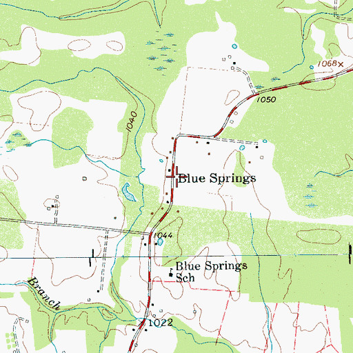 Topographic Map of Blue Springs, TN