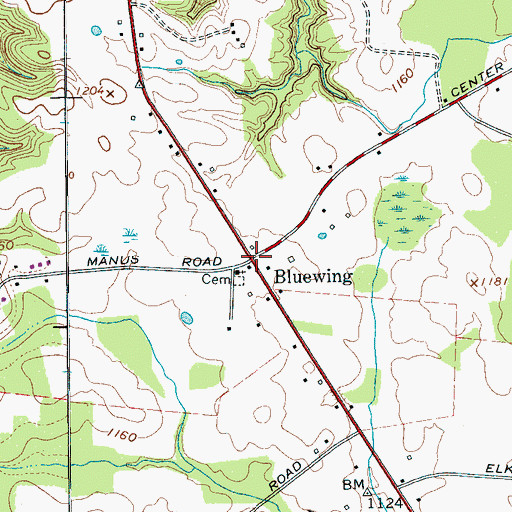 Topographic Map of Bluewing, TN