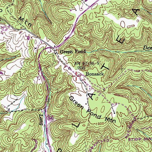 Topographic Map of Bonsack, TN