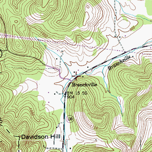 Topographic Map of Branchville, TN