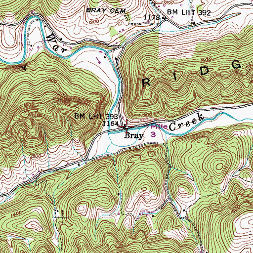 Topographic Map of Bray, TN