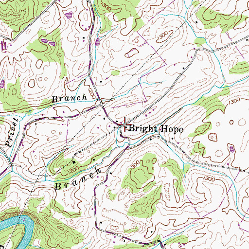 Topographic Map of Bright Hope, TN