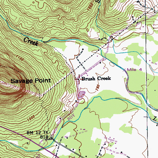 Topographic Map of Brush Creek, TN